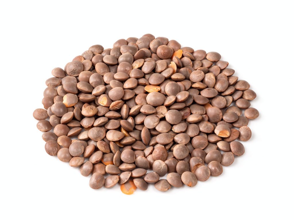 pile of brown unhulled red lentils closeup on white background