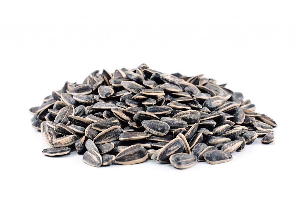 SEEDS _ Sunflower Seeds in Shell